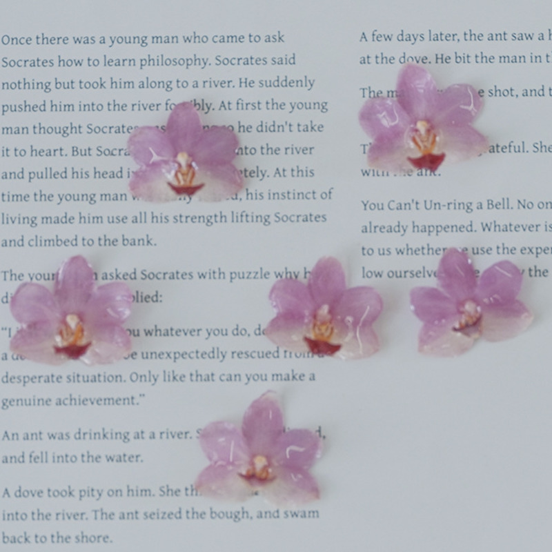 Jewelry Making Event - DIY Sieraden Natuurlijke Roze Hars Orchidee