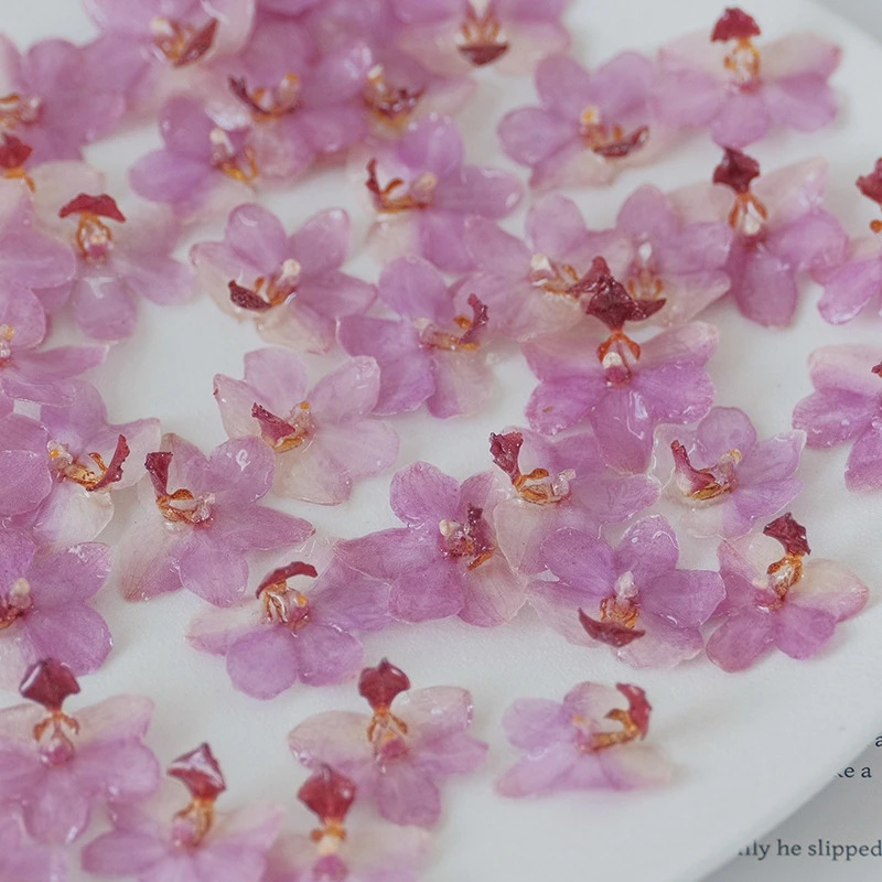 DIY Sieraden Natuurlijke Roze  - Jewelry Making Event recensie en prijs